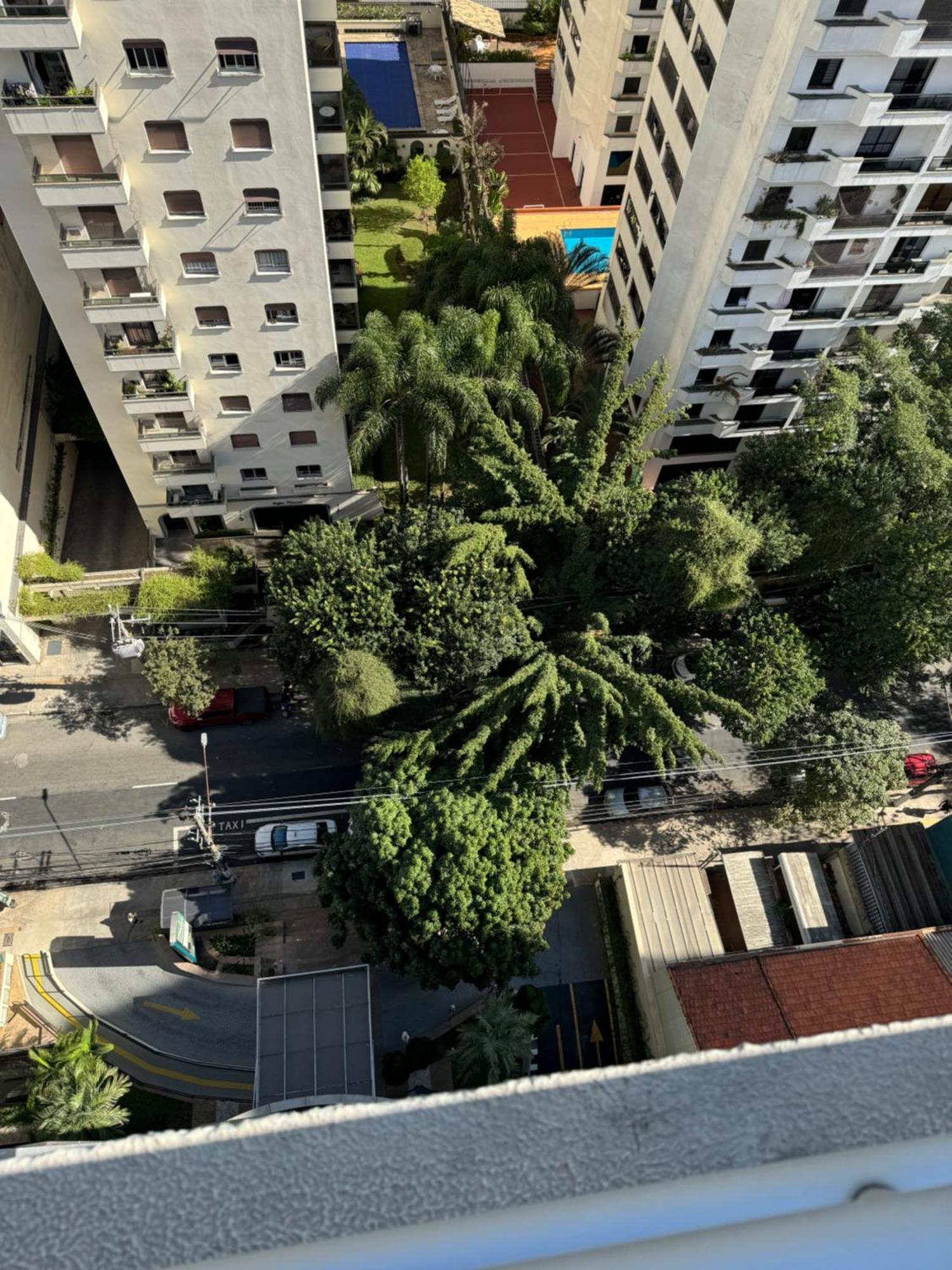 Apartment Apartamento Oscar Freire